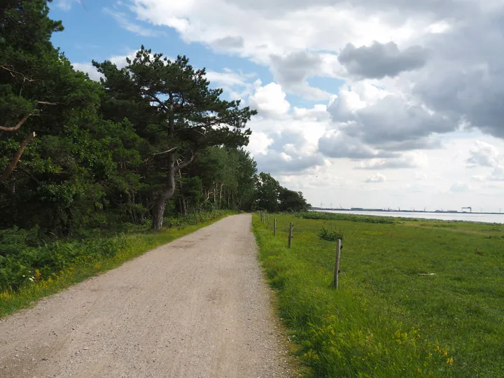 Halshuisene + Enebaerodde Beach (Denemarken)